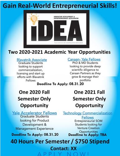flyer for IDEA Academic Year Opportunities 2020-21