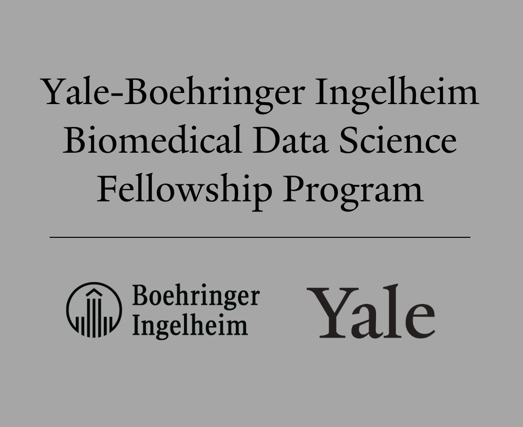 Ylae BI Fellowship announcement