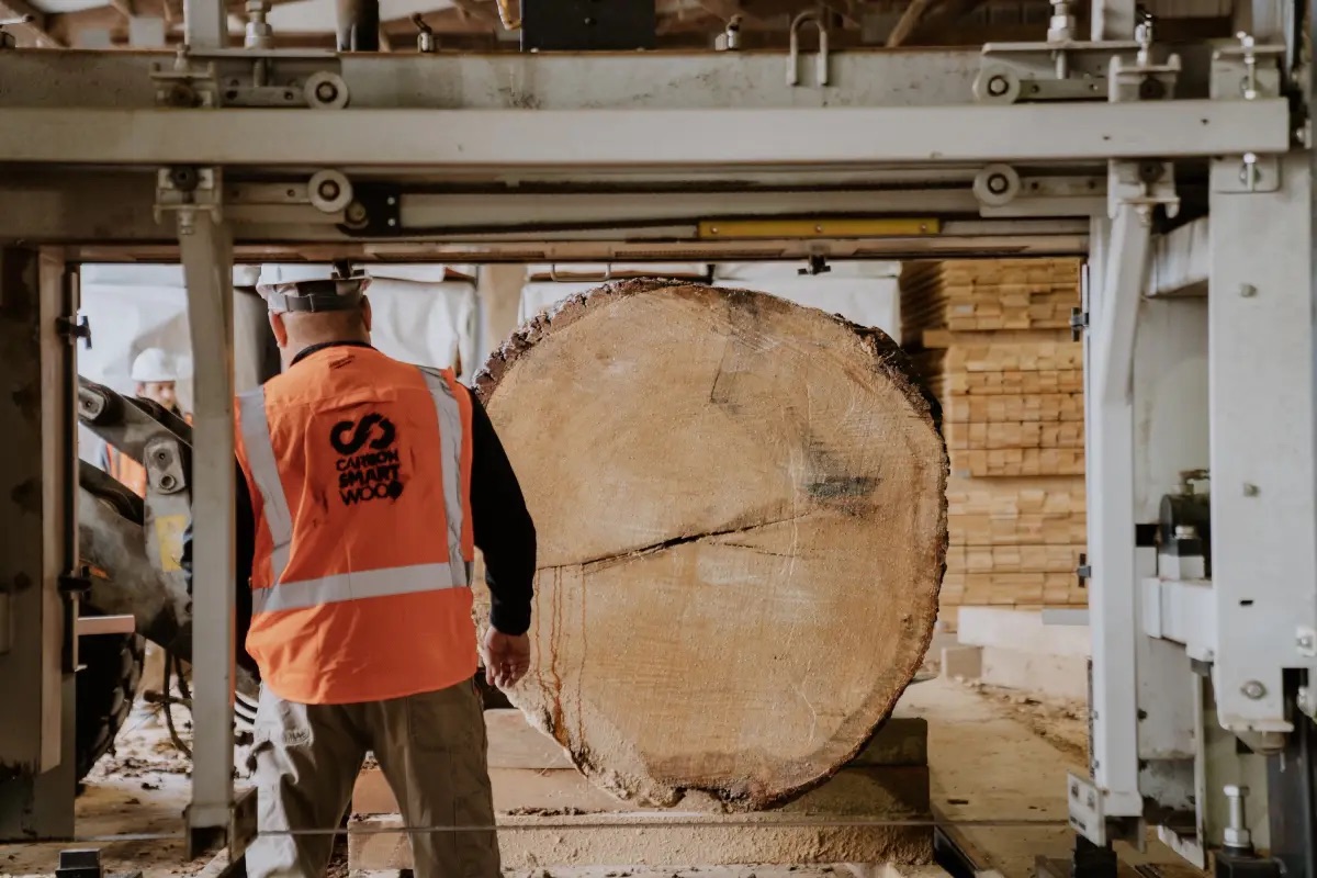 Photo of wood in a mill