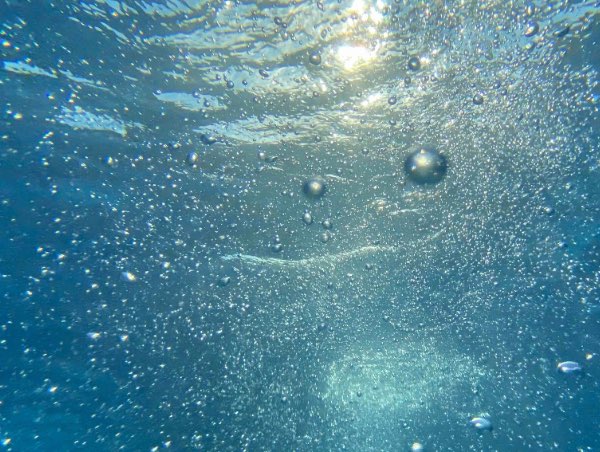 Water