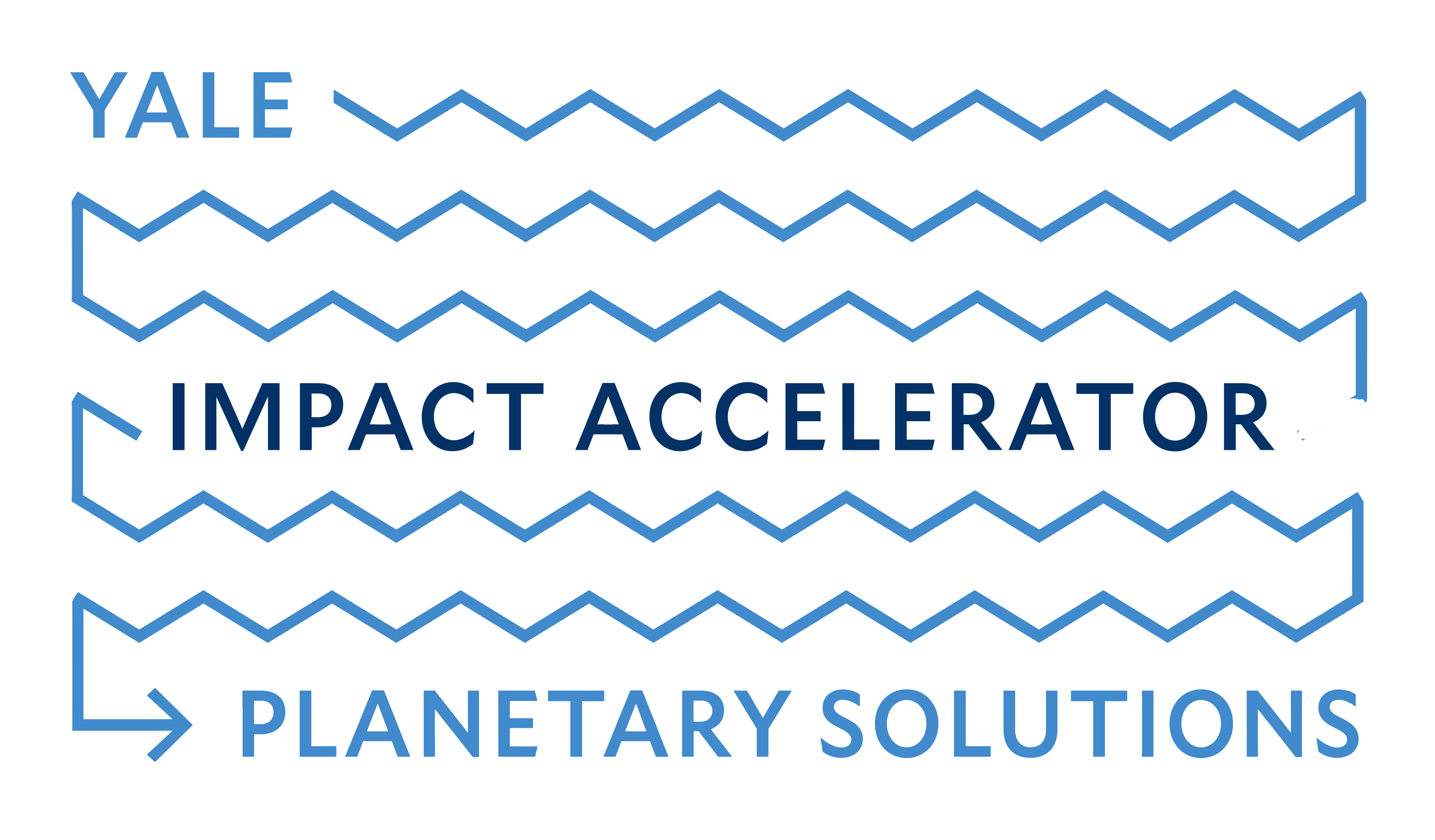 Planetary Solutions Impact Accelerator