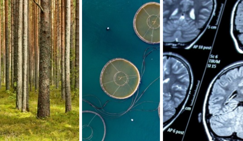 images of Yale Research